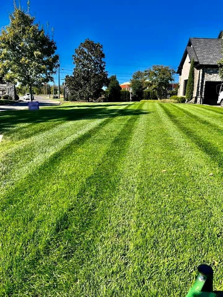 Lawn Care y Landscaping Brownsville